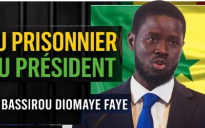 Bassirou Diomaye Faye : L’Ascension Inattendue et les Défis du Sénégal Nouveau