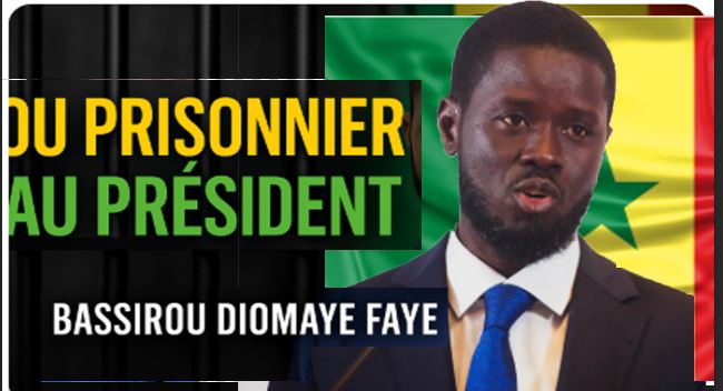 Bassirou Diomaye Faye : L’Ascension Inattendue et les Défis du Sénégal Nouveau