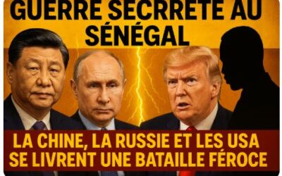 La Nouvelle Frontière des Hydrocarbures : Décryptage de la Géopolitique Cachée du Sénégal