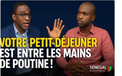 Haby, Amina, Alioune : Enquête sur les Super-Blés du Sahel qui doivent libérer le Sénégal