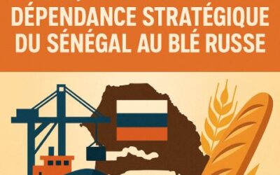 Port de Dakar à nos Boulangeries : Enquête sur la Dépendance Stratégique du Sénégal au Blé Russe