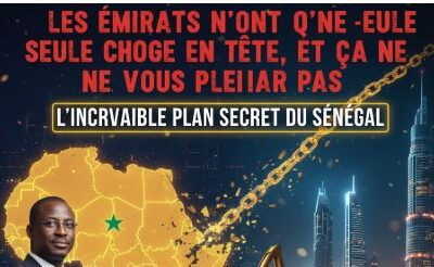 Sénégal–Émirats : le plan secret pour briser l’emprise française