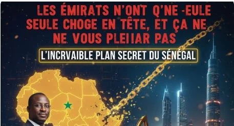 Sénégal–Émirats : le plan secret pour briser l’emprise française