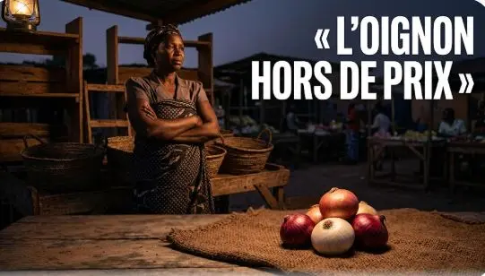 Sénégal : pourquoi le prix du kilo d’oignon flambe soudainement à 750 FCFA sur les marchés