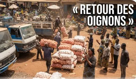 Sénégal : pénurie d’oignons, l’État lève les restrictions d’importation pour casser les prix sur les marchés